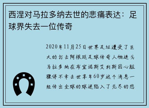 西涅对马拉多纳去世的悲痛表达：足球界失去一位传奇